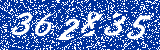 Capcha image