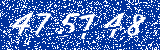 Capcha image