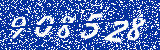 Capcha image